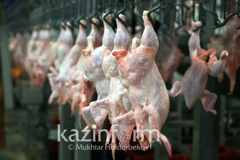 Мясо птицы подорожало на 14% за год в Казахстане