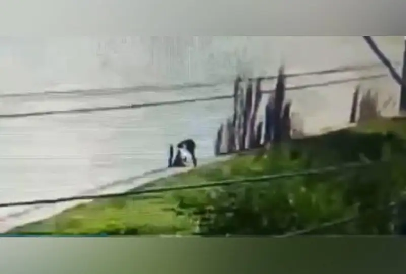 Дерзкое ограбление попало на видео в ЗКО