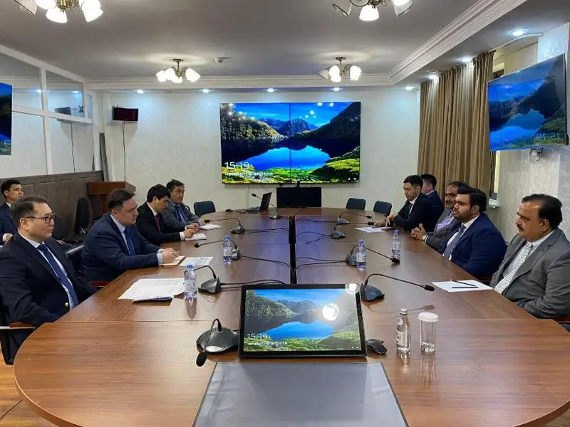 Казахстан и Пакистан обсуждают создание совместной экспортно-импортной компании