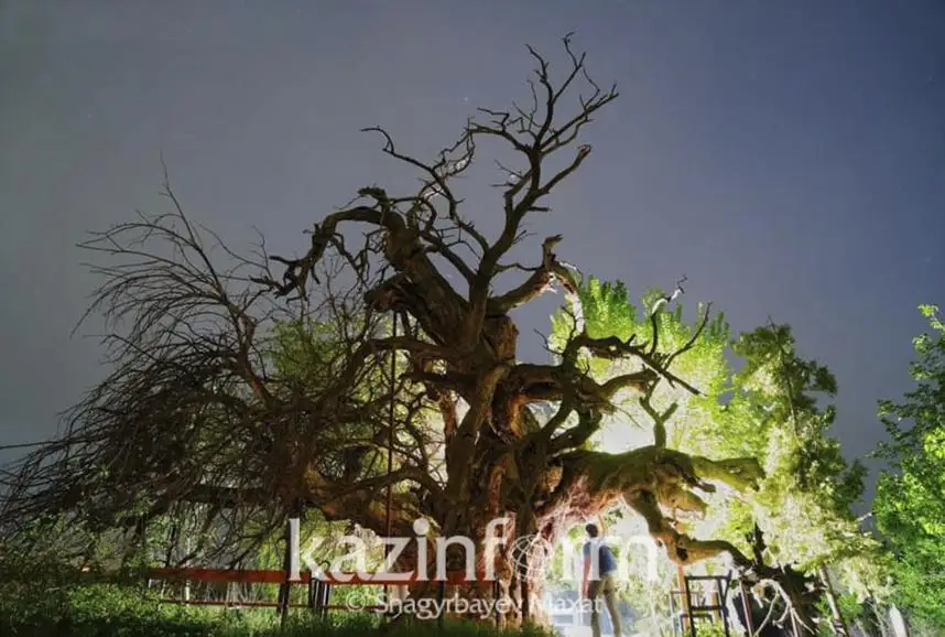 Орыс балапандарының порно кастинг видеосы