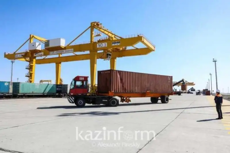 Казахстан экспортирует 14 видов лекарственных растений