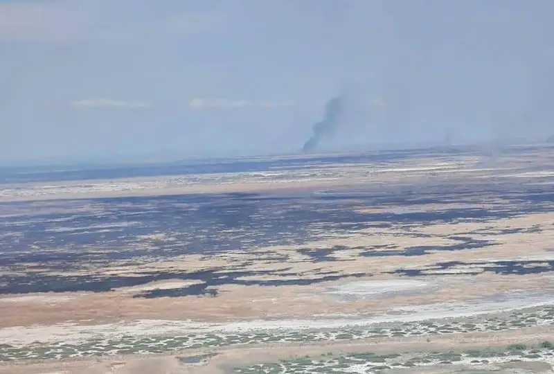 Пожар продолжают тушить в Иле-Балхашском резервате