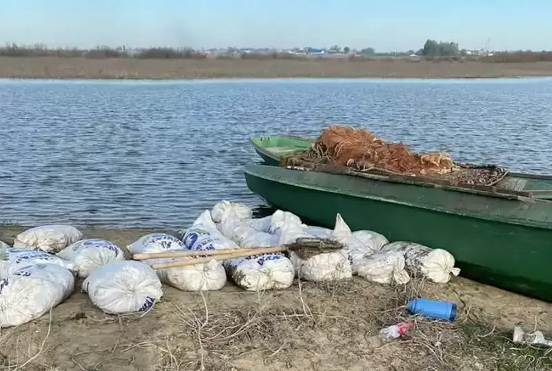 Тонну рыбы незаконно перевозили рыбаки в Атырауской области