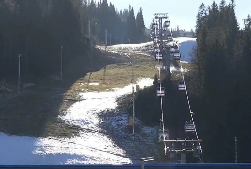 Аномально теплая зима установилась в Центральной Европе