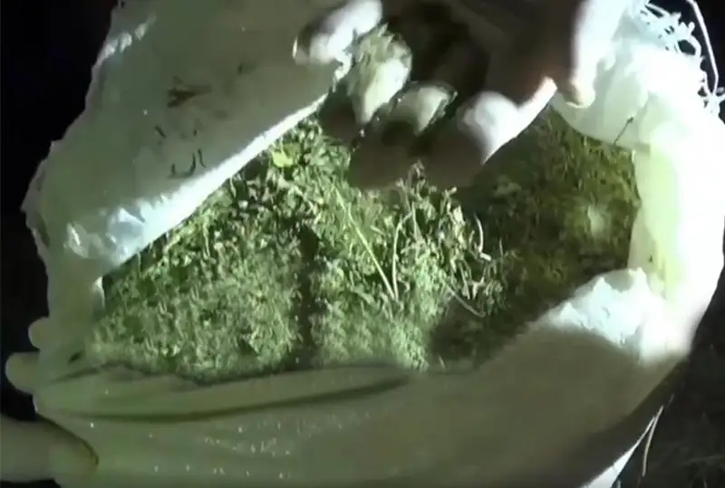 Свыше 50 кг наркотиков изъяли у сельчанина жамбылские полицейские