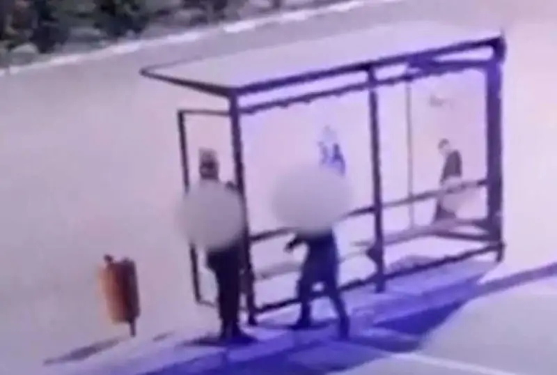 پەتروپاۆلدا ايالداما اينەگىن سىندىرعان جىگىت 5 تاۋلىككە قامالدى - ۆيدەو