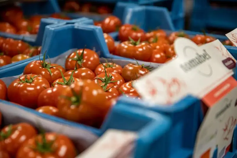 Остановить рост цен на продукты просит организация защиты прав потребителей Бельгии