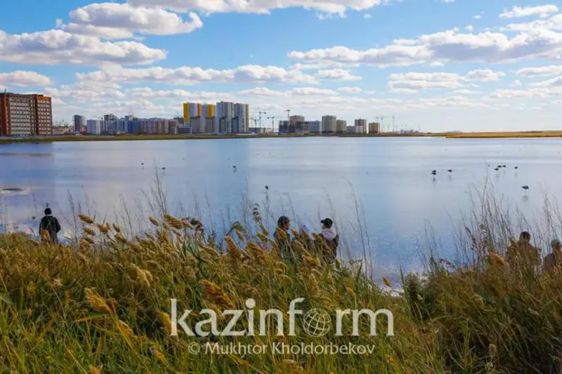 Привела ли засыпка Талдыколя к горению сухостоя в Астане – ответ акима