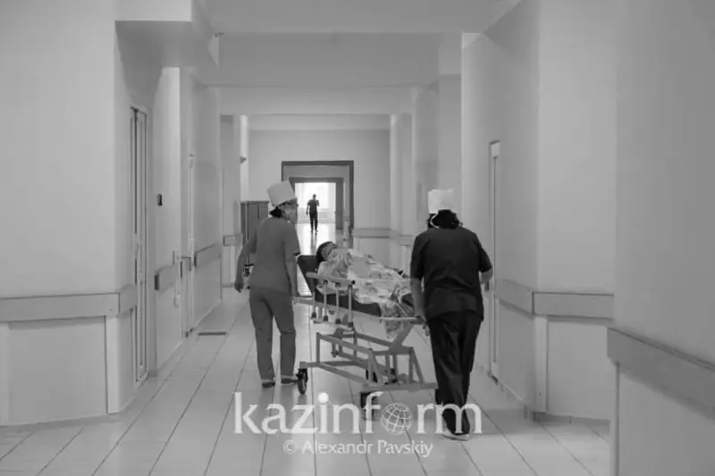 Almaty oblysynda jylan shaqqan 9 jasar bala aýrýhanada qaıtys boldy