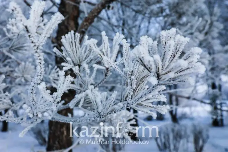 Аномальные морозы охватили Кыргызстан
