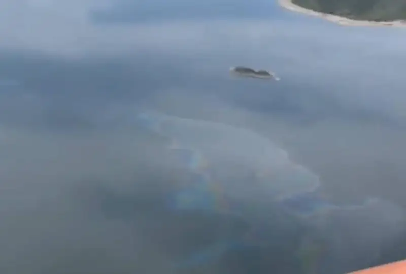 Нефтесодержащее пятно на Бухтарминском водохранилище: безопасно ли купаться в рукотворном море
