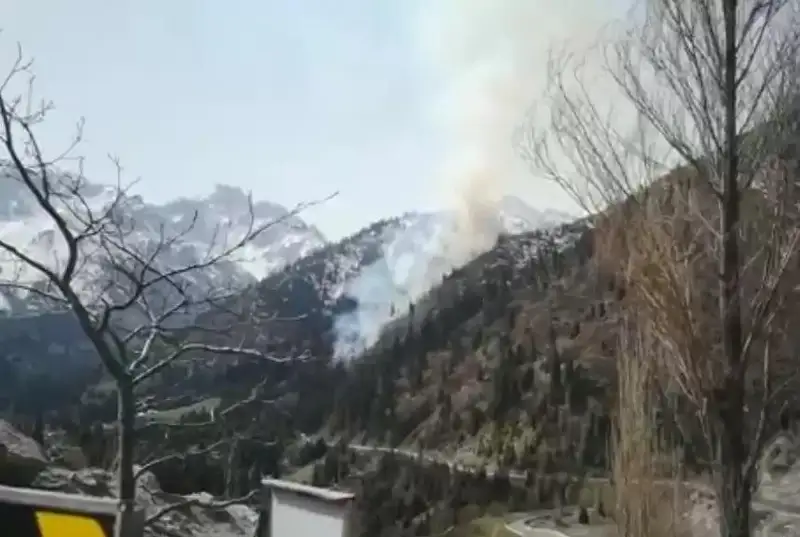 Пожар в горах Алматы локализовали