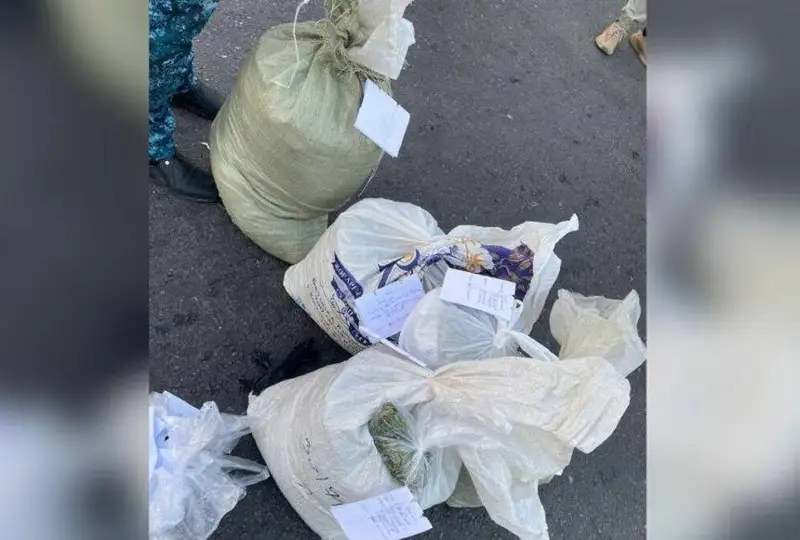 29 кг наркотиков изъяли у четырех жителей Тараза