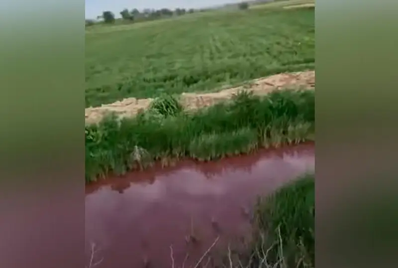 Кровавой водой орошают посевы жители Туркестанской области