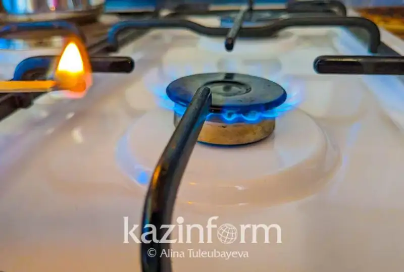 Memleket basshysy úılerdi gazǵa qosýdyń qymbattyǵyn synǵa aldy