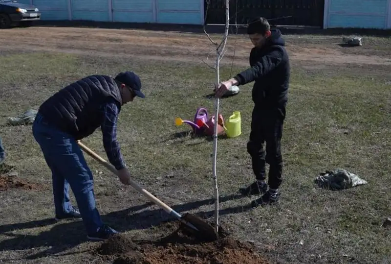 Весенняя посадка деревьев продолжается в Карагандинской области