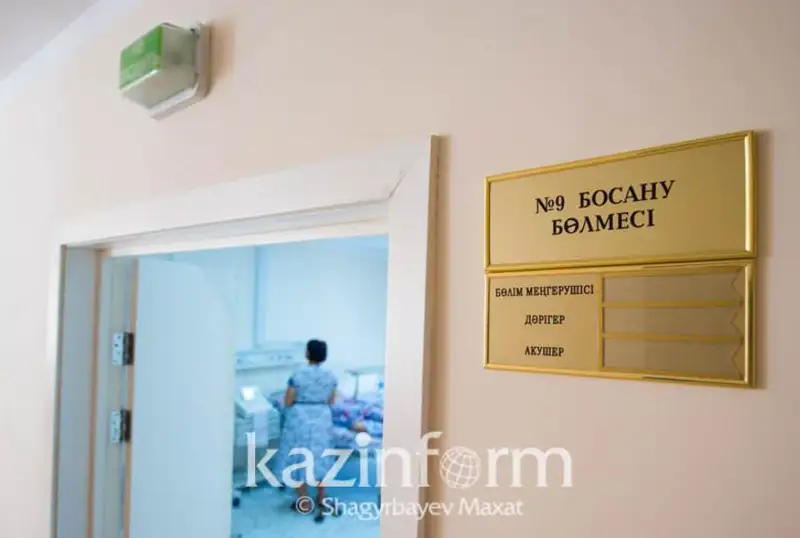 Перинатальный центр построят в области Улытау