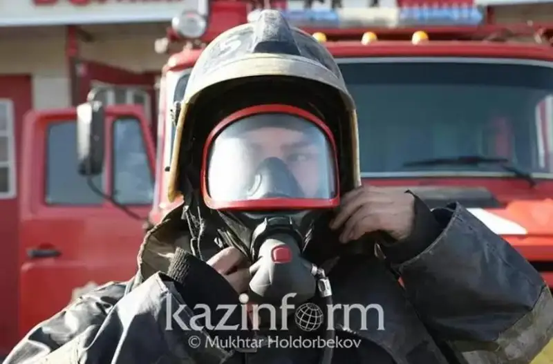 Пожар в Приморском лесничестве Уланского ​района полностью ликвидирован