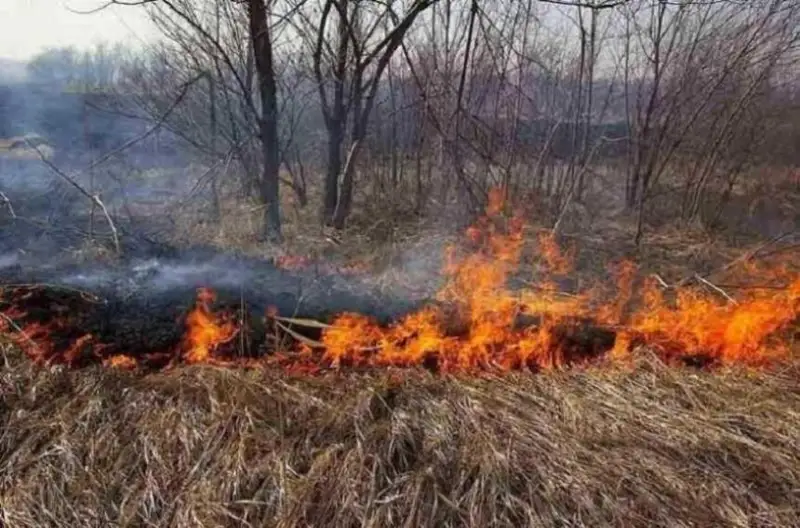 Almatylyq órt sóndirýshiler bir táýlikte 8 órt oshaǵyn joıdy