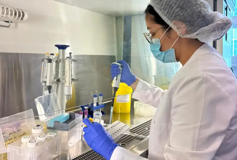 Гемофилия, миопатия Дюшенна, заболевание Пьера-Мари: как выявить и прочитать болезни по генам