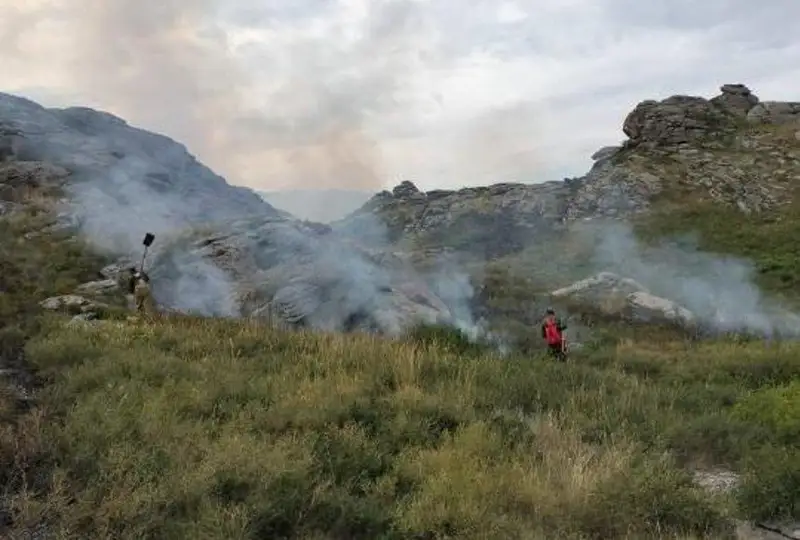 Вспыхнувшую из-за попадания молнии траву потушили в ВКО
