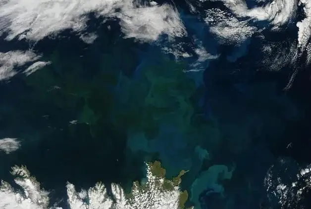 Океаны Земли меняют цвет из-за изменения климата