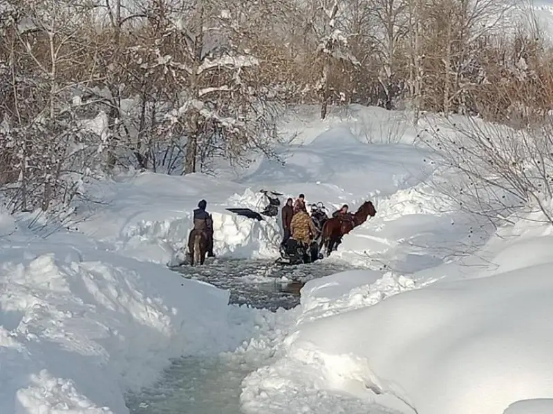Заблудившуюся в буран семью спасли в Абайской области