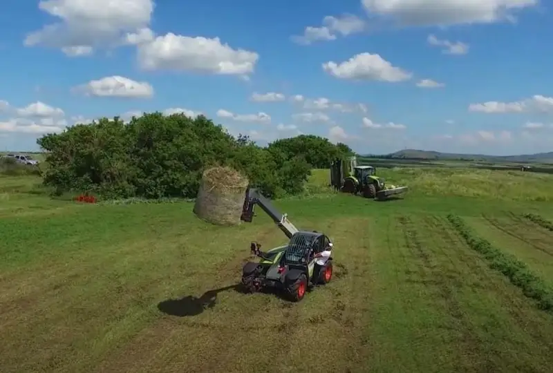 Рейтинг развития: названы регионы-лидеры по рентабельности растениеводства