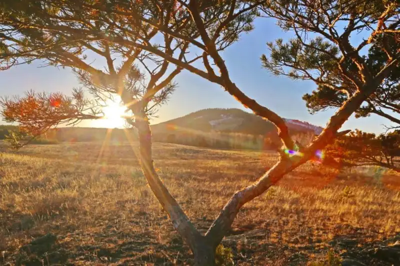 فوتوگرافتىڭ مىندەتى سۋرەتتى سويلەتۋ - تالعات تانىبايەۆ