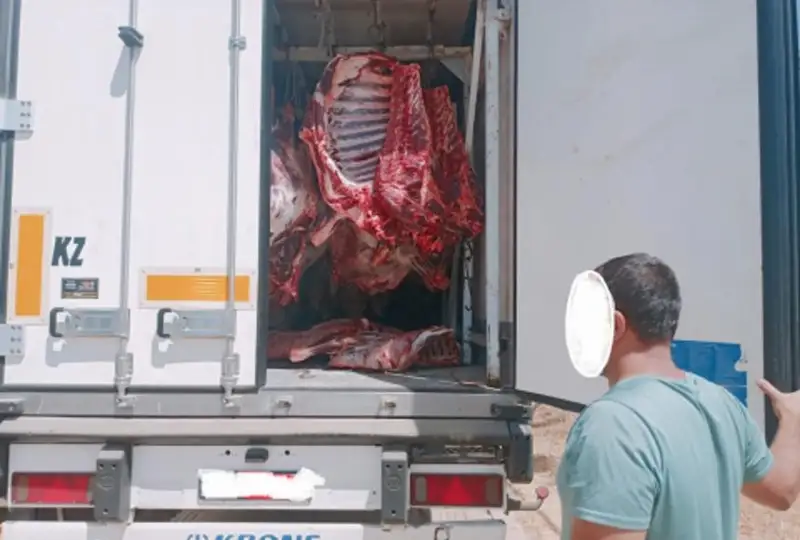 14 тонн мяса вместо заявленных 8 тонн пытались провезти в Узбекистан