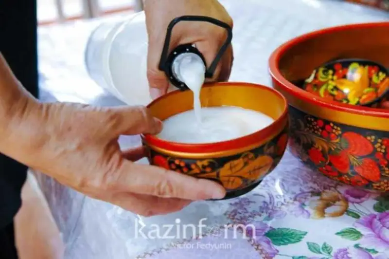 دارىگەر قىمىزدىڭ دەنساۋلىققا 12 پايداسىن اتادى