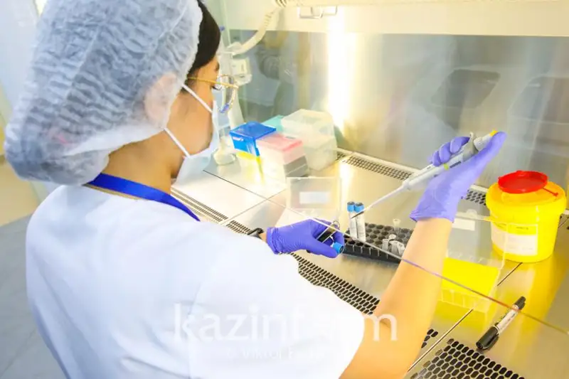 Цвет глаз, волос и национальность с помощью ДНК могут определить судебные эксперты МВД