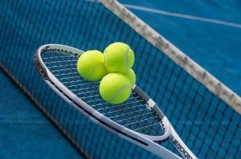 Юлия Путинцева и Анна Данилина опустились в рейтинге WTA