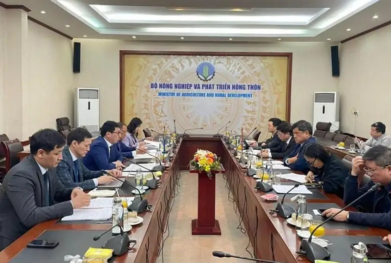 Шесть сортов риса передал Вьетнам для возделывания в Кызылординской области