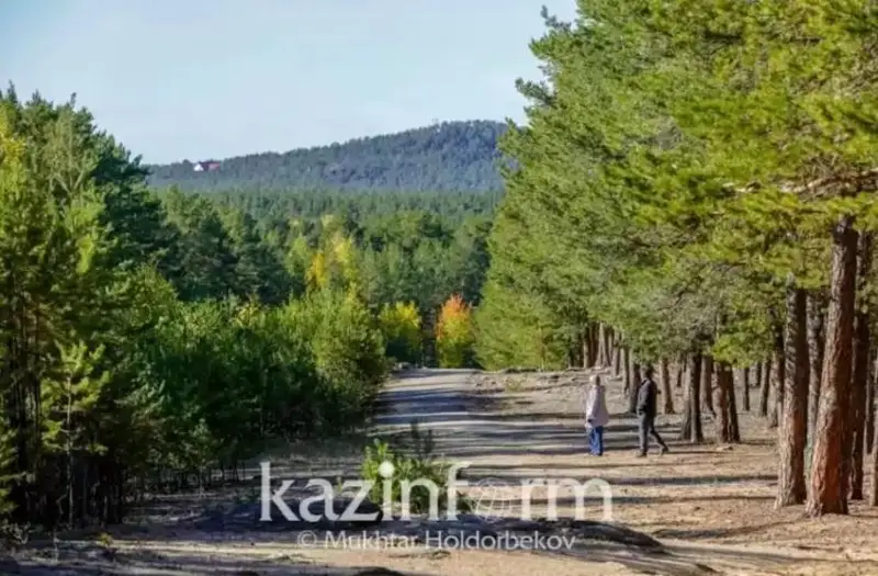 Дроны используют для мониторинга пожарной обстановки в лесах СКО