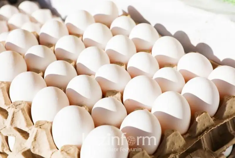 Шесть тысяч яиц похитили сотрудники карагандинской птицефабрики