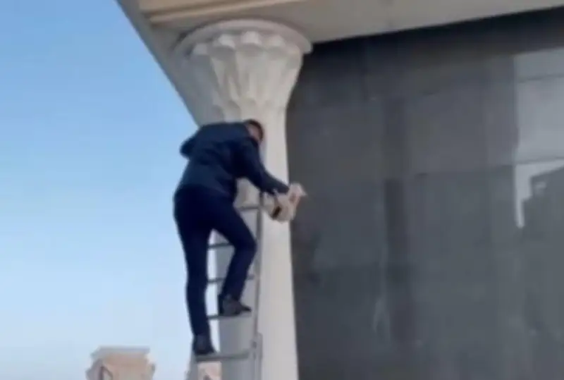 Застрявшего на минарете кота спас сотрудник мечети в Астане