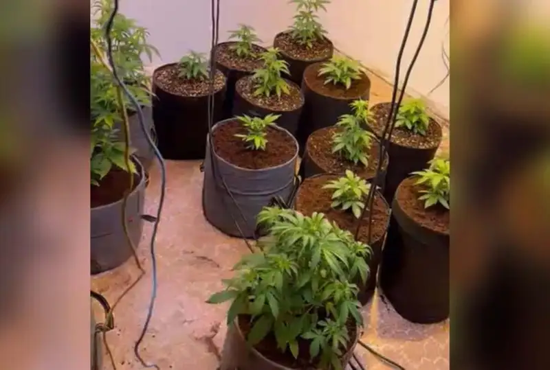 65 кг наркотиков изъяли в Мангистауской области с начала года