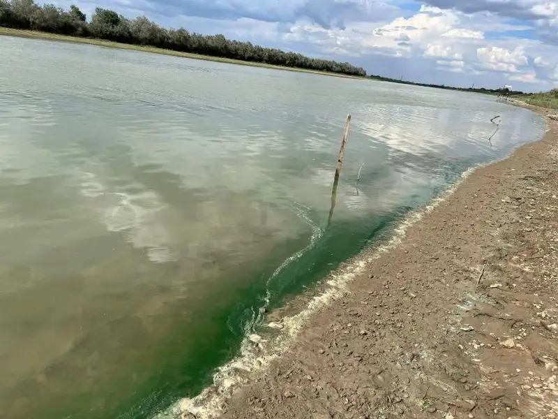 Вода реки Урал в Атырау окрасилась в зеленый цвет