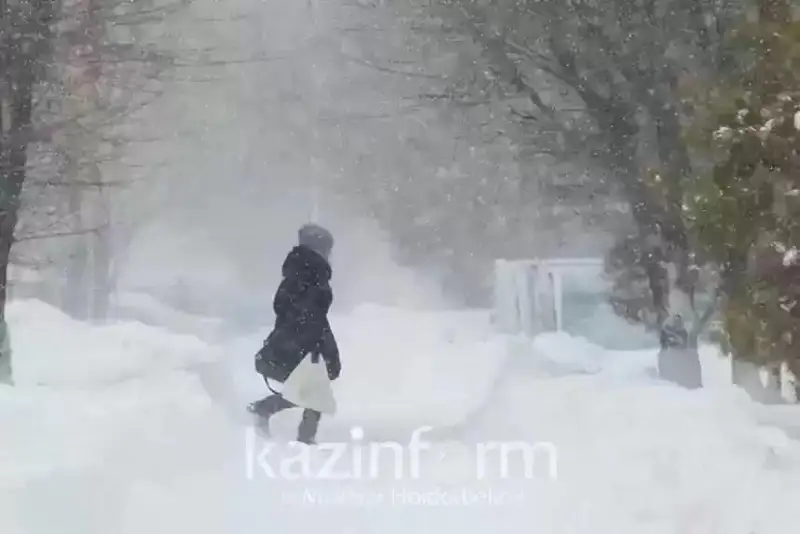 Снег и низовая метель ожидаются в Казахстане 18 февраля