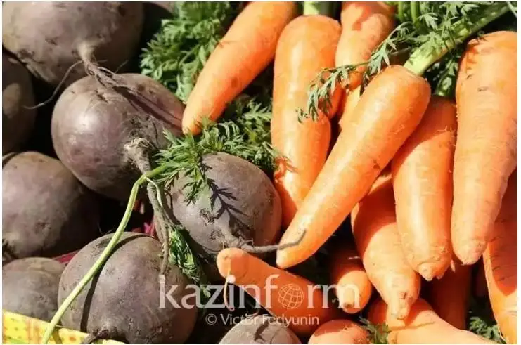 اقمولا وبلىسىندا اۋىل شارۋاشىلىعى ونىمدەرىنىڭ ءوندىرىسى 5 پايىزعا ارتتى