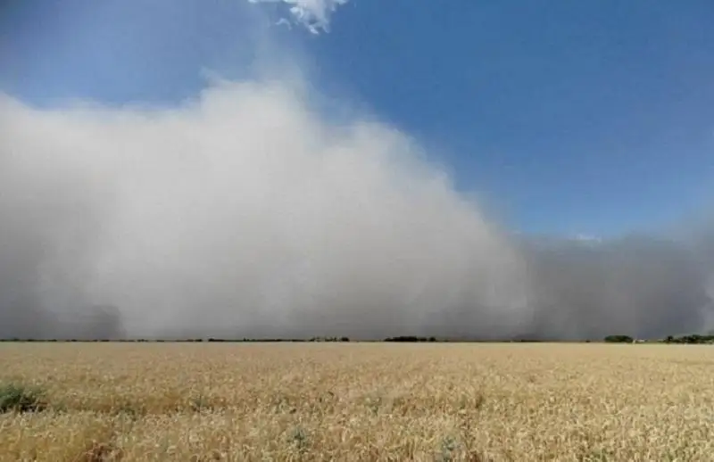 Большую часть Узбекистана накрыло пыльной бурей