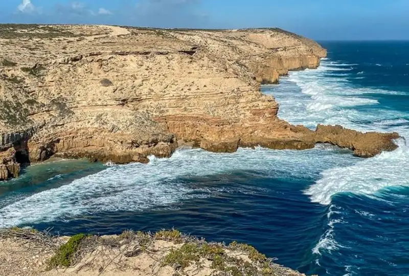 Учитель пропал без вести после нападения акулы на побережье Австралии