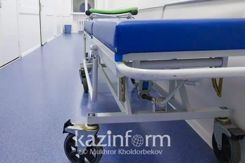 قاراعاندىدا ۋلانعان تاعى ەكى بالا اۋرۋحاناعا جەتكىزىلدى، باس- اياعى 13 جەتكىنشەك ەمدەلىپ جاتىر