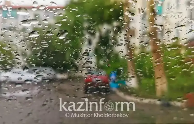 نايزاعاي، جاڭبىر: 22-ماۋسىمعا كۇن رايى بولجامى