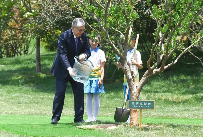 قاسىم- جومارت توقايەۆ شياندا اعاش وتىرعىزدى