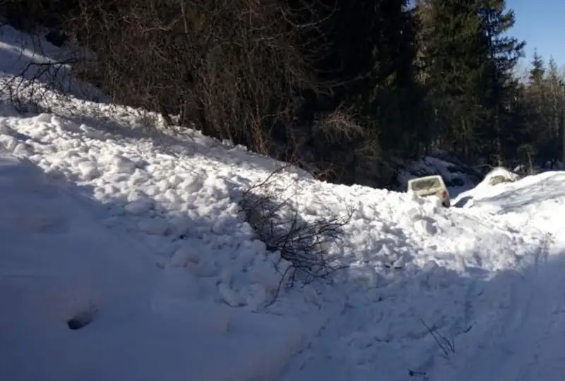 Въезд на территорию Алматинского заповедника запретили из-за лавины