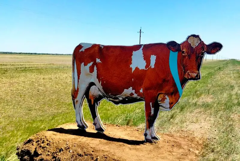 رەسپۋبليكالىق جولداردىڭ بويىنا جانۋارلاردىڭ ماكەتى ورنالاستىرىلدى