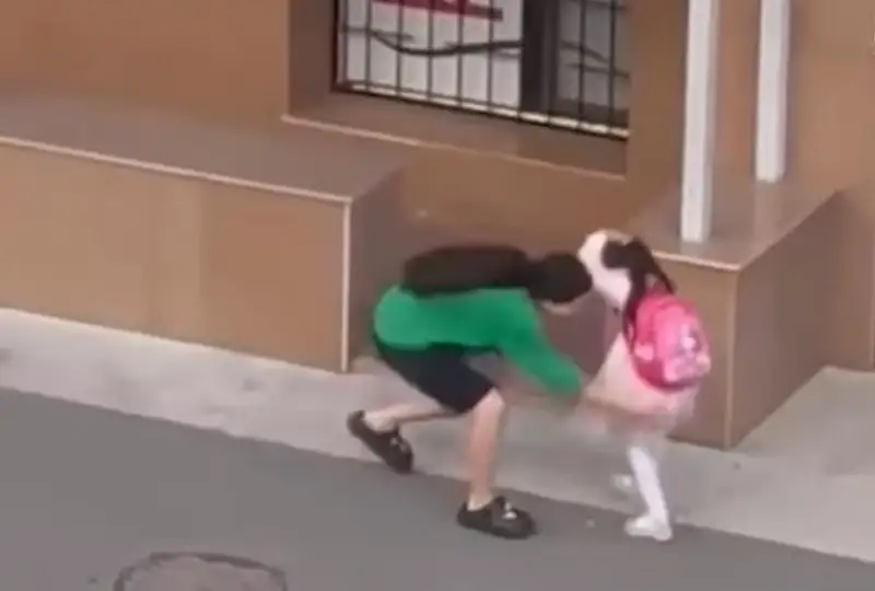 استانادا بالاباقشاعا بارعىسى كەلمەگەن كىشكەنتاي قىزدى ۇرعان تۋىسىنا اكىمشىلىك ءىس قوزعالدى - ۆيدەو