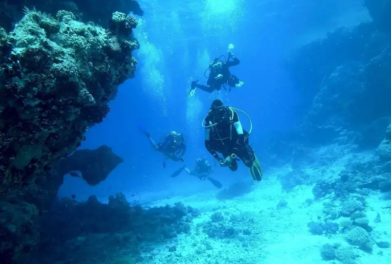 Хургадада сув ости музейи ташкил этилади